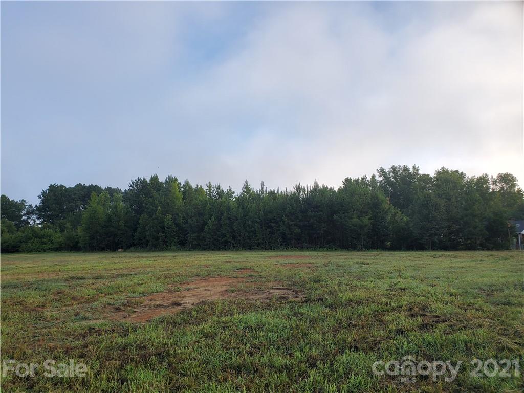 0 Tirzah Road York, SC 29745 - Photo 22 of 28 Gallery Image 22