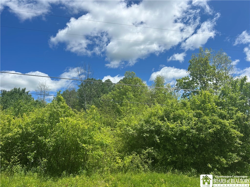 Belleview Road East Bemus Point, NY 14712 - Photo 4 of 6