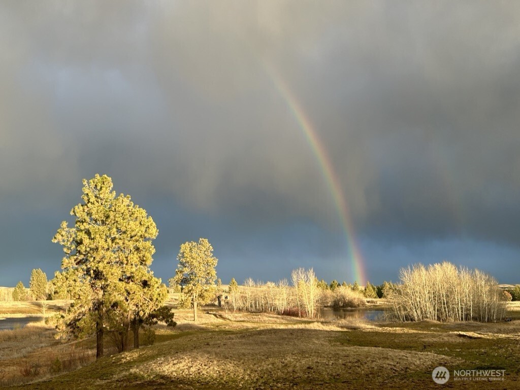 37227 South Long Road Cheney, WA 99004 - Photo 20 of 32