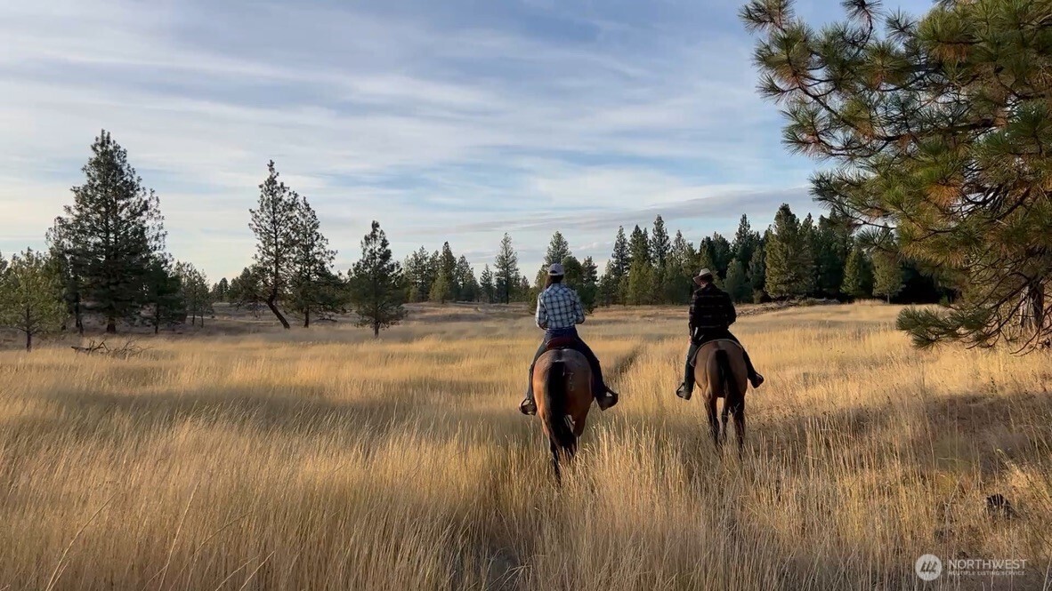 37227 South Long Road Cheney, WA 99004 - Photo 21 of 32