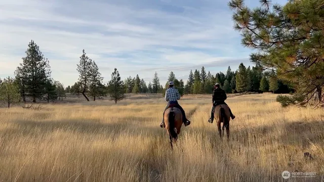 $9,900,000 | 37227 South Long Road, Cheney, WA 99004