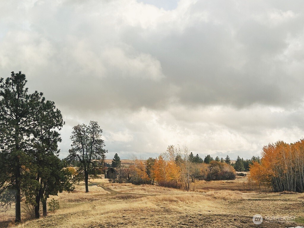 37227 South Long Road Cheney, WA 99004 - Photo 22 of 32