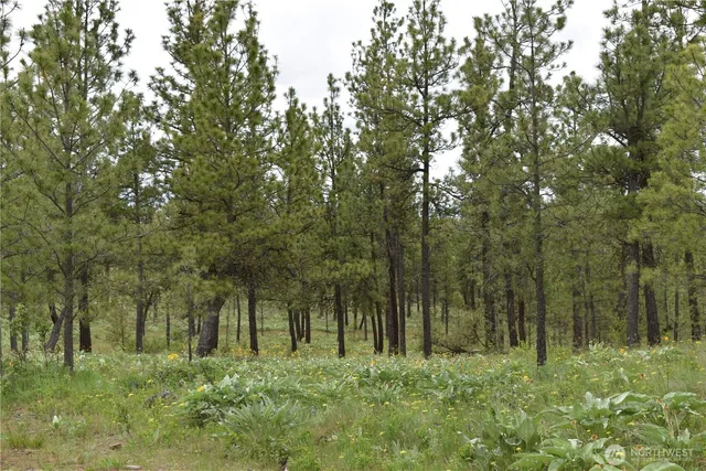 $9,900,000 | 37227 South Long Road, Cheney, WA 99004