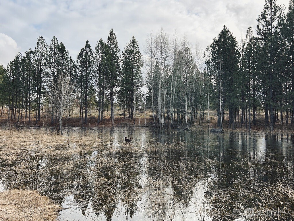 37227 South Long Road Cheney, WA 99004 - Photo 24 of 32