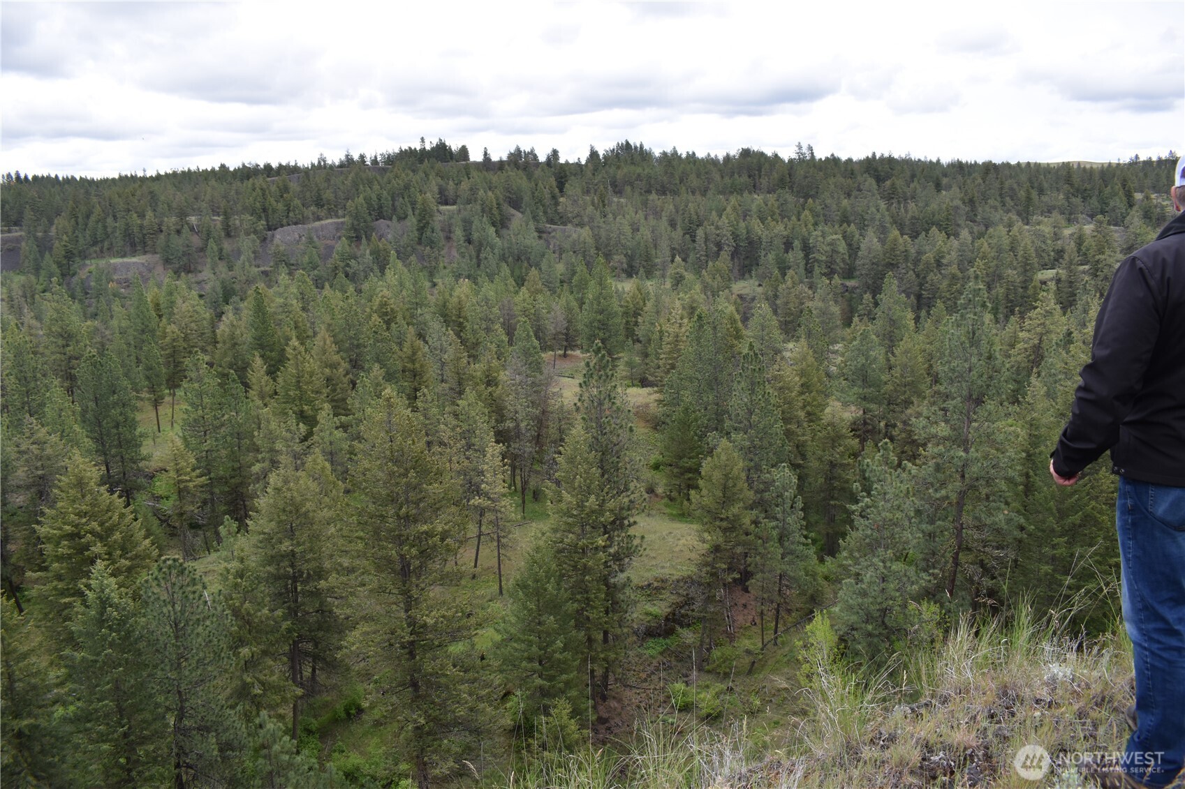 37227 South Long Road Cheney, WA 99004 - Photo 25 of 39 a view of a city with lush green forest