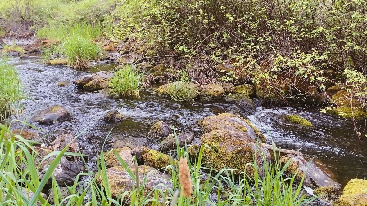 37227 South Long Road Cheney, WA 99004 - Photo 27 of 32