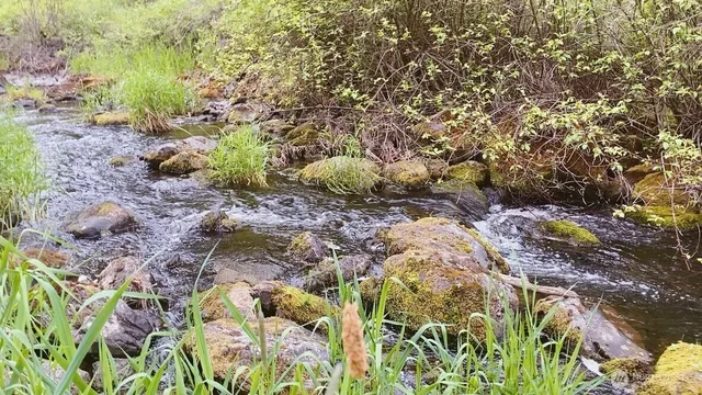 $9,900,000 | 37227 South Long Road, Cheney, WA 99004