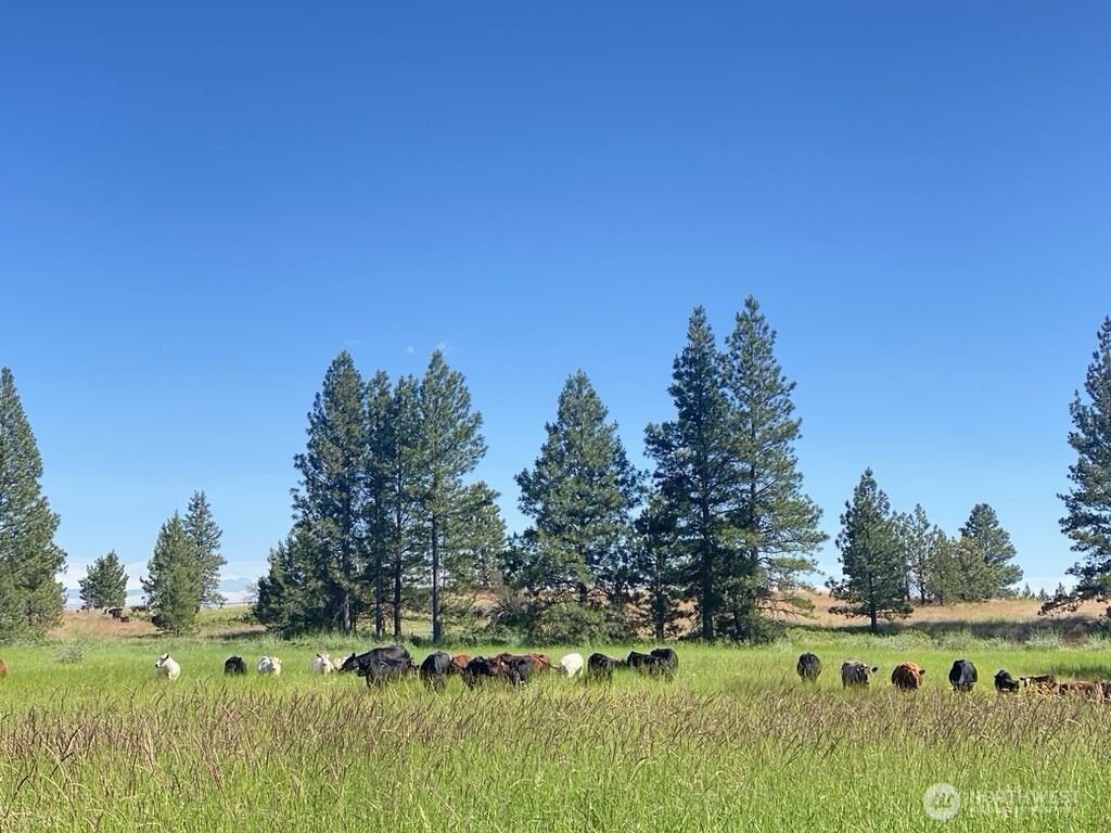 37227 South Long Road Cheney, WA 99004 - Photo 28 of 32