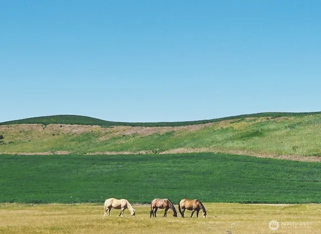 $9,900,000 | 37227 South Long Road, Cheney, WA 99004