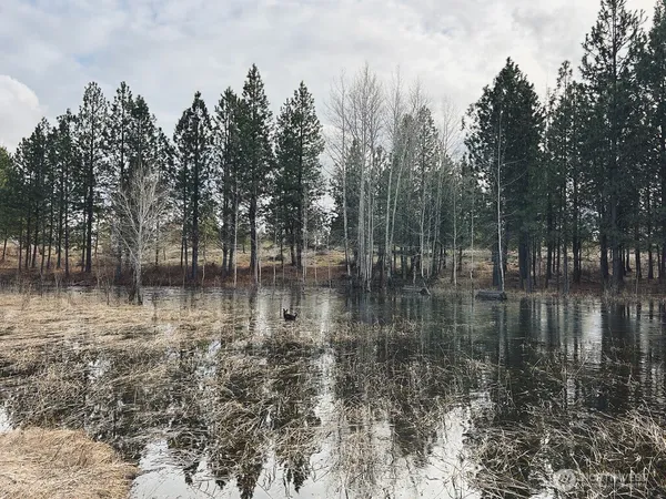 a view of a lake with trees in the background