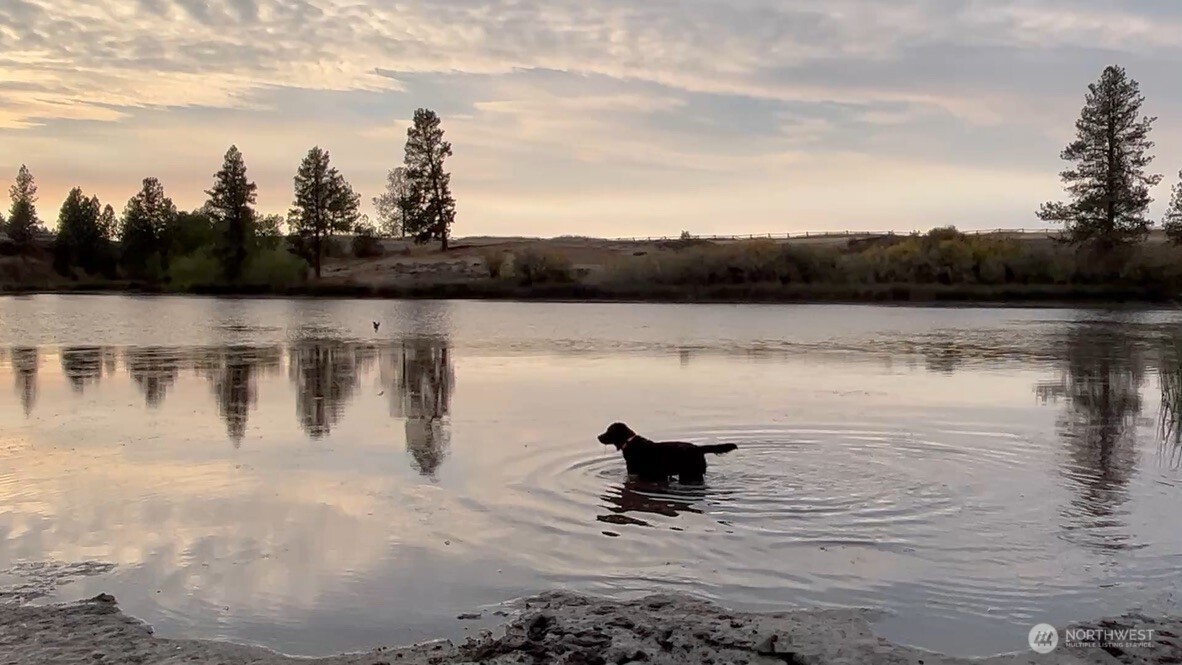 37227 South Long Road Cheney, WA 99004 - Photo 30 of 32