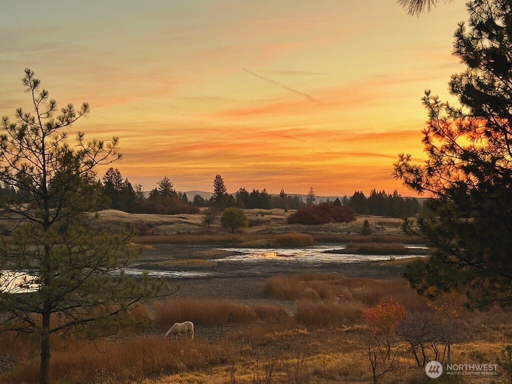 37227 South Long Road Cheney, WA 99004 - Photo 31 of 39 a view of an ocean and beach