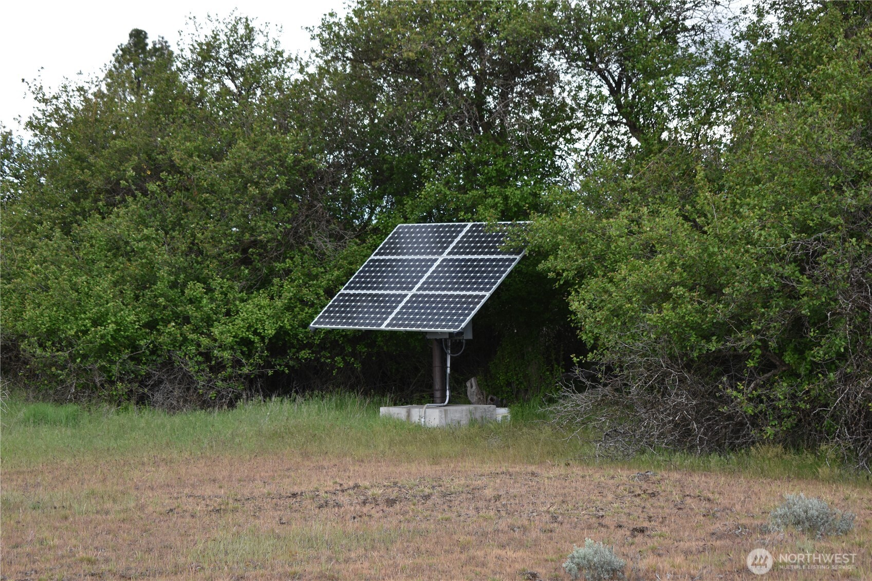37227 South Long Road Cheney, WA 99004 - Photo 31 of 32
