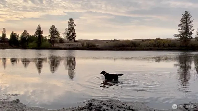 $9,900,000 | 37227 South Long Road, Cheney, WA 99004