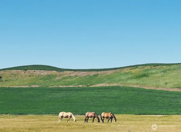 a group of people sitting on a field