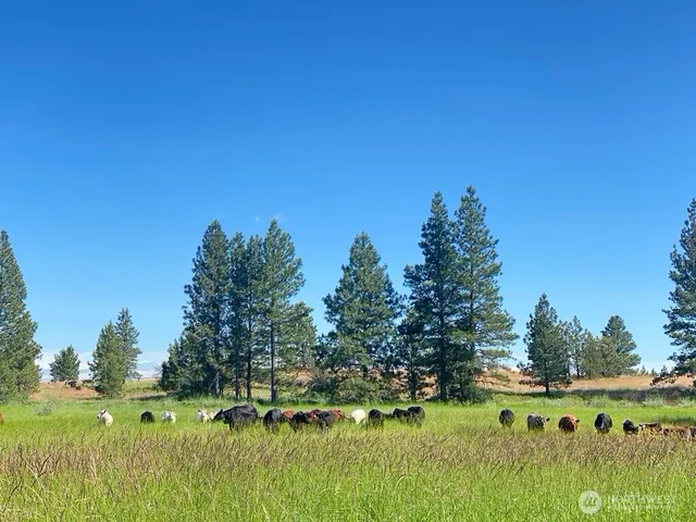 $9,900,000 | 37227 South Long Road, Cheney, WA 99004