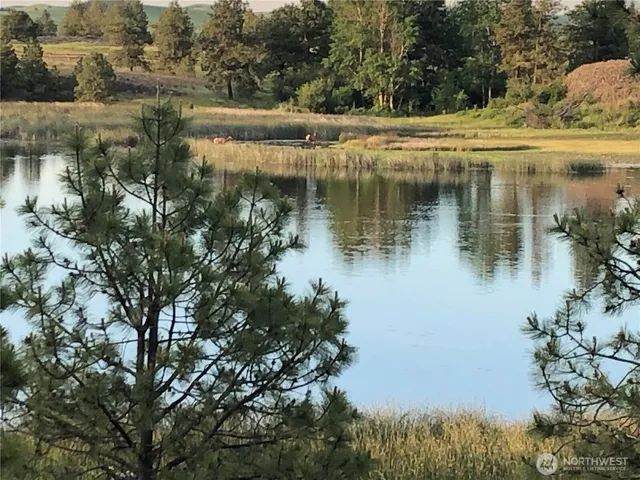 $9,900,000 | 37227 South Long Road, Cheney, WA 99004