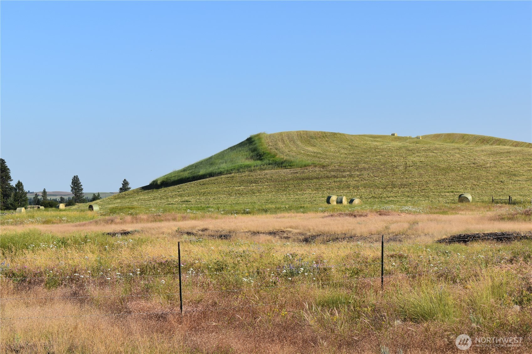 37227 South Long Road Cheney, WA 99004 - Photo 10 of 32
