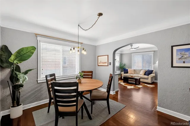 a view of a livingroom with furniture and a potted plant
