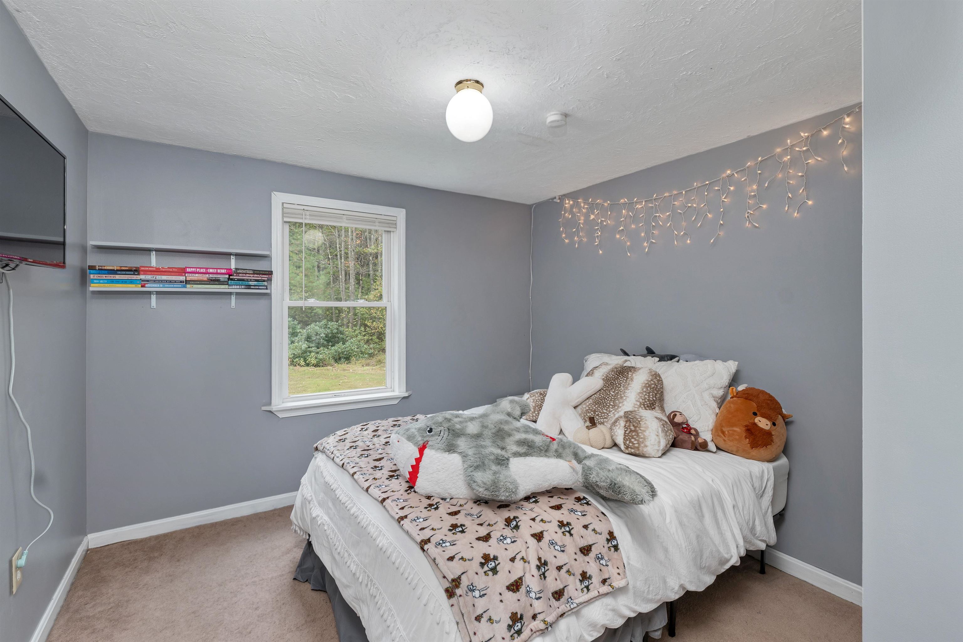 33 Shaker Road Northfield, NH 03276 - Photo 12 of 36