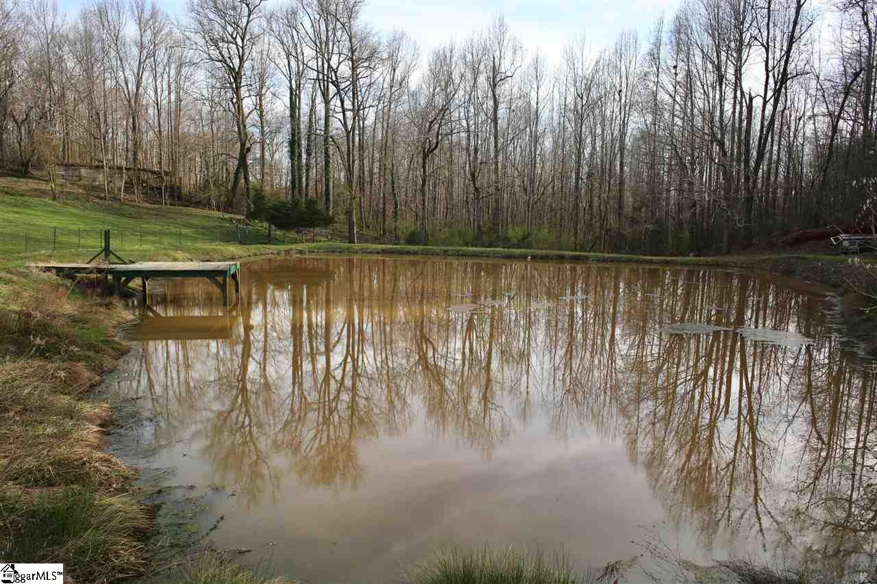 3498 State Park Road Greenville, SC 29609 - Photo 4 of 23