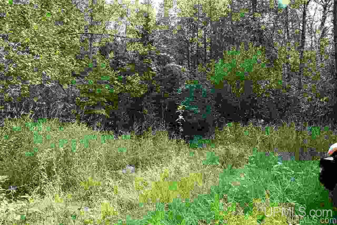 Tbd Tbd Jimtown (15 Lane) Road Menominee, MI 49858 - Photo 20 of 20