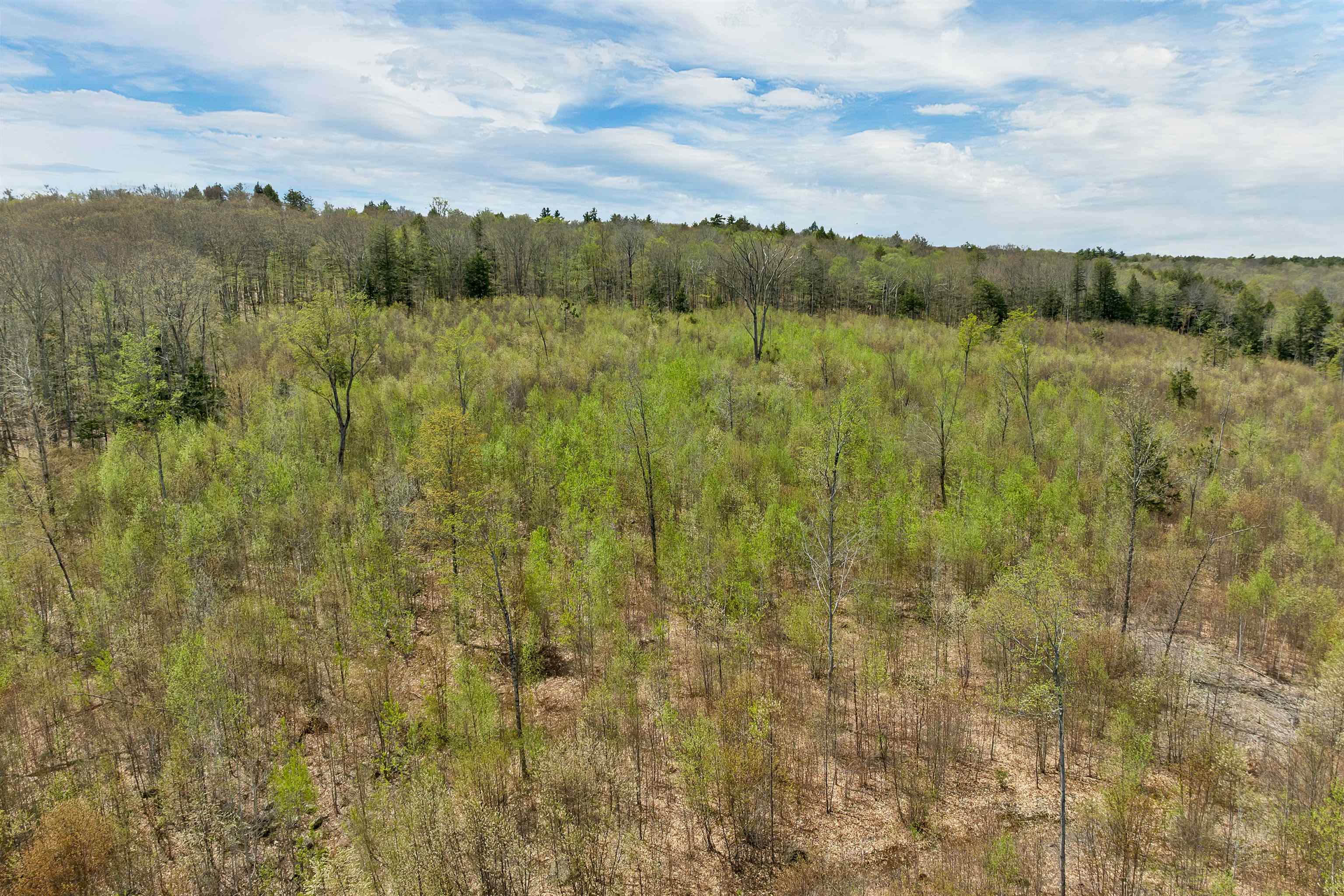 0 Gilman Road, Unit 19 Gilmanton, NH 03237 - Photo 11 of 13