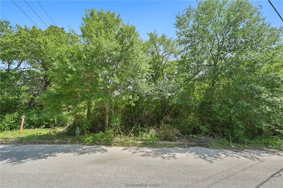 a view of a road with trees in the background