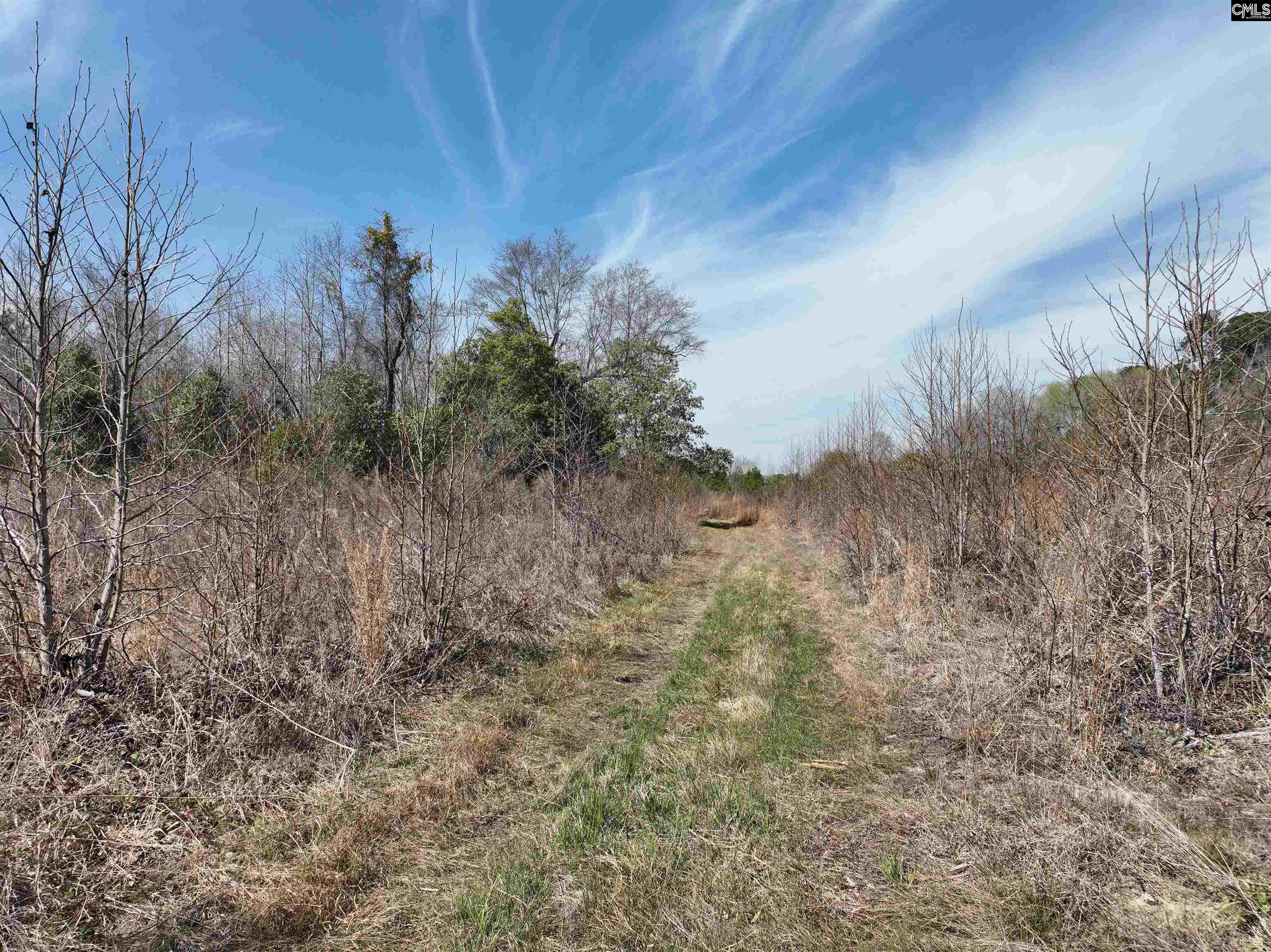 0 Dr Boylston Road Salley, SC 29137 - Photo 20 of 41