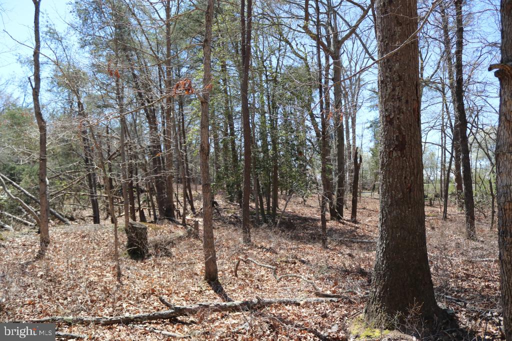 351 Shaws Mill Road Cedarville, NJ 08311 - Photo 14 of 84