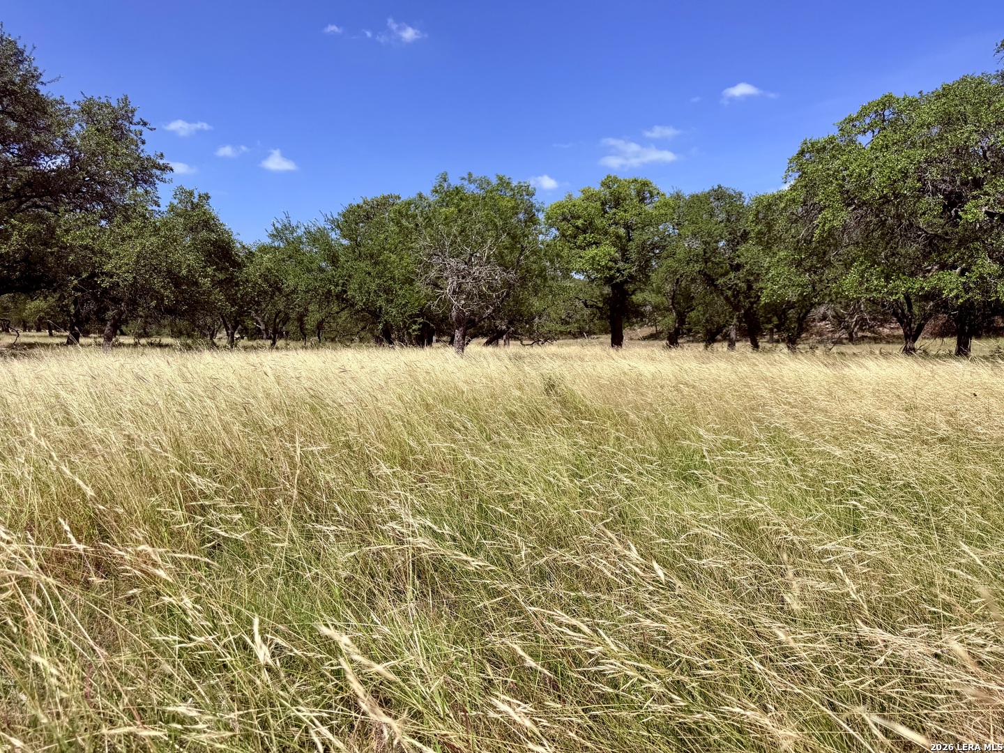 43-acres Sattler Road Spring Branch, TX 78070 - Photo 42 of 42 Gallery Image 42