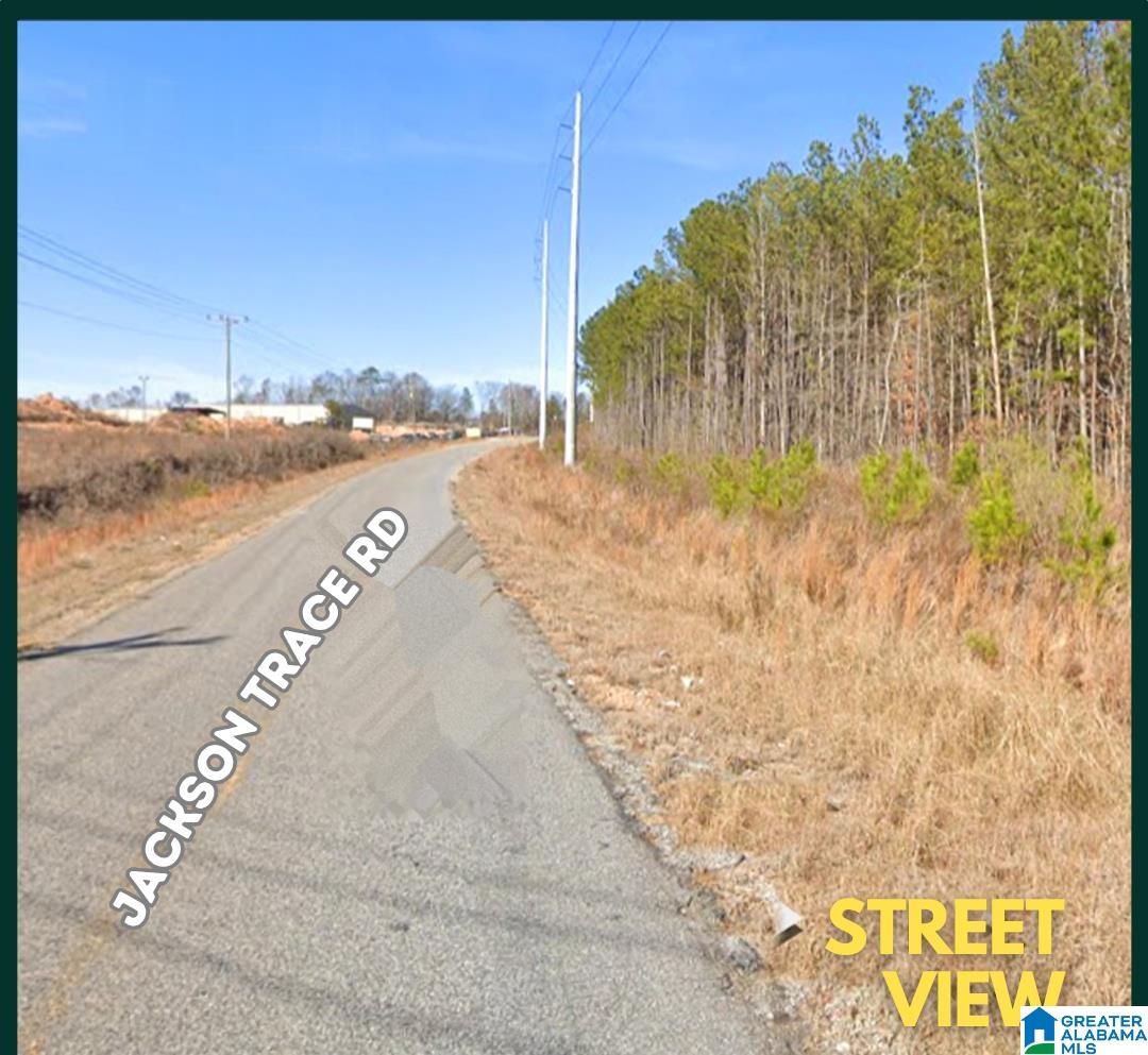 0 Jackson Trace Road Lincoln, AL 35096 - Photo 2 of 7