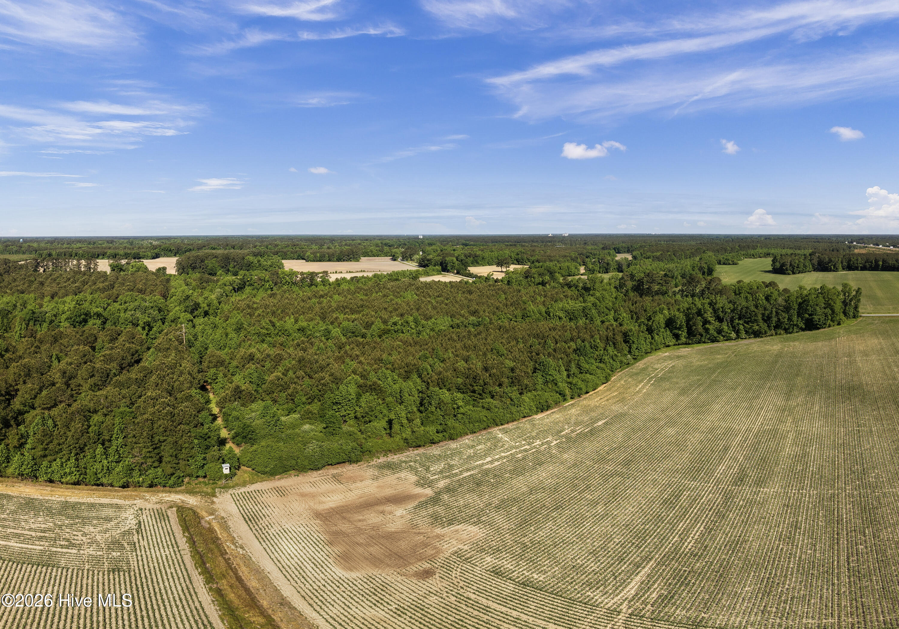 26-acres High School Road Teachey, NC 28464 - Photo 17 of 23 21-001_0088_pano