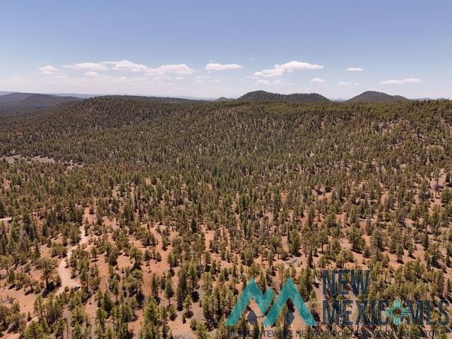 Tbd Tbd Little Arrow Road Grants, NM 87020 - Photo 42 of 69
