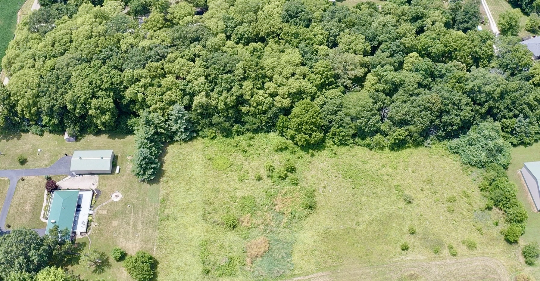 6119 Little Galilee Road Clinton, IL 61727 - Photo 25 of 26 a view of a yard with plants