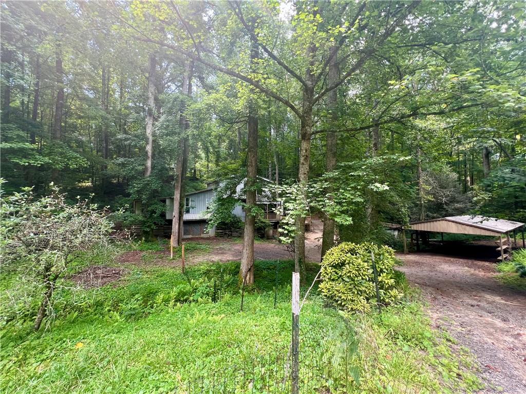 579 Banner Circle Ellijay, GA 30540 - Photo 3 of 13 a view of a backyard with potted plants and large trees