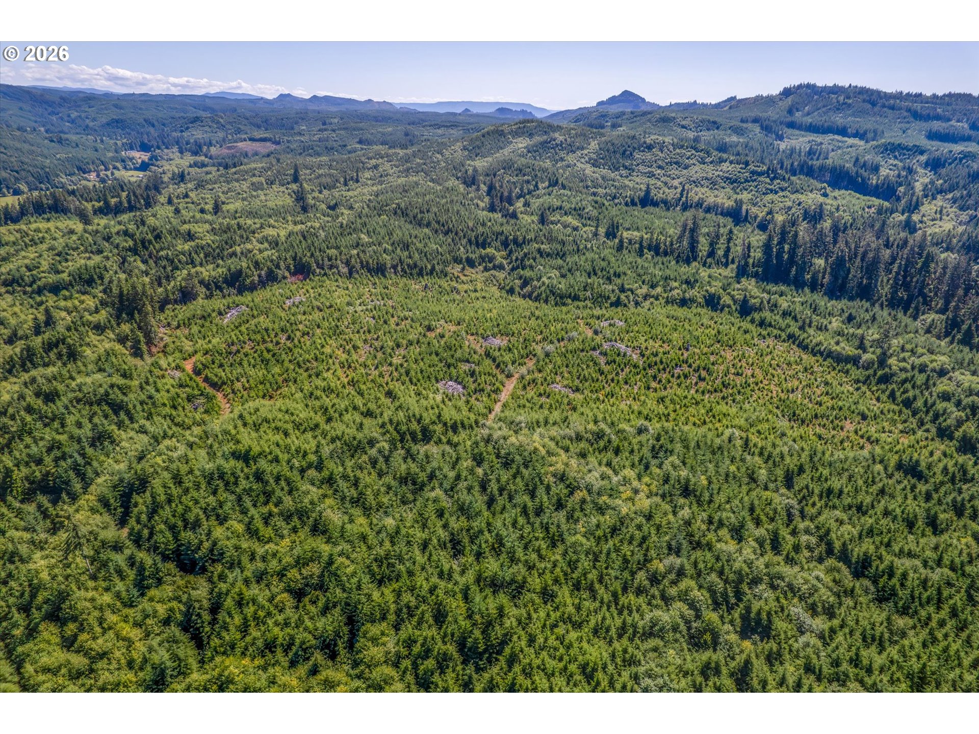 West Valley Road Rosburg, WA 98643 - Photo 10 of 14 a view of a lush green hillside and a houses