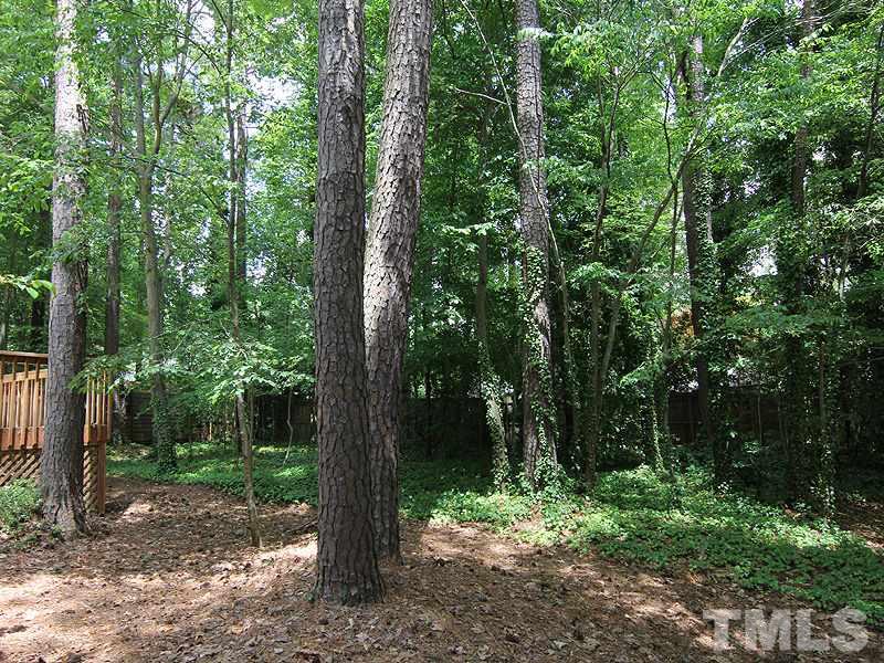 6416 Wynbrook Way Raleigh, NC 27612 - Photo 11 of 13 a view of a forest with trees
