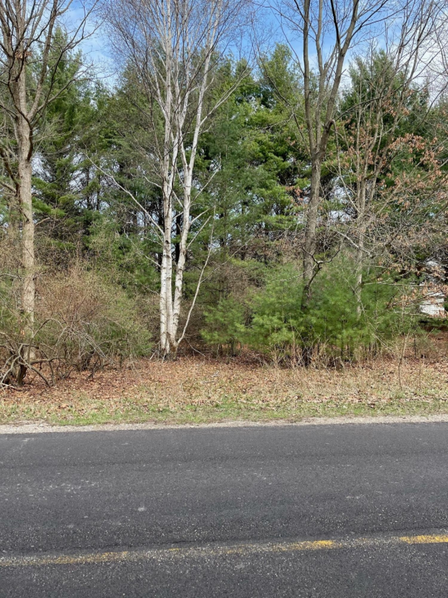 Lot 122 Fox Farm Road Manistee, MI 49660 - Photo 1 of 13 14