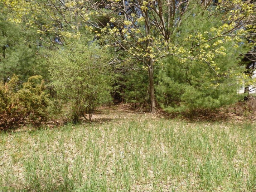 Lot 122 Fox Farm Road Manistee, MI 49660 - Photo 2 of 13 5
