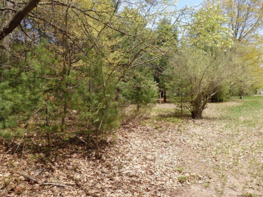 Lot 122 Fox Farm Road Manistee, MI 49660 - Photo 4 of 13 3