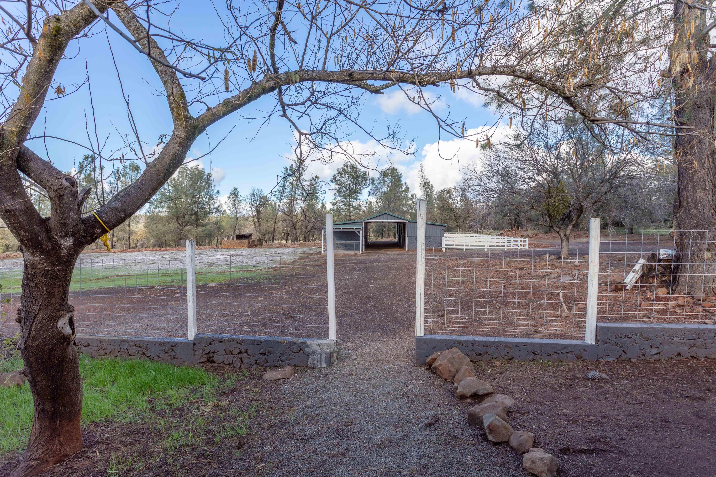 26846 Aslan Road Shingletown, CA 96088 - Photo 21 of 49 254A2559