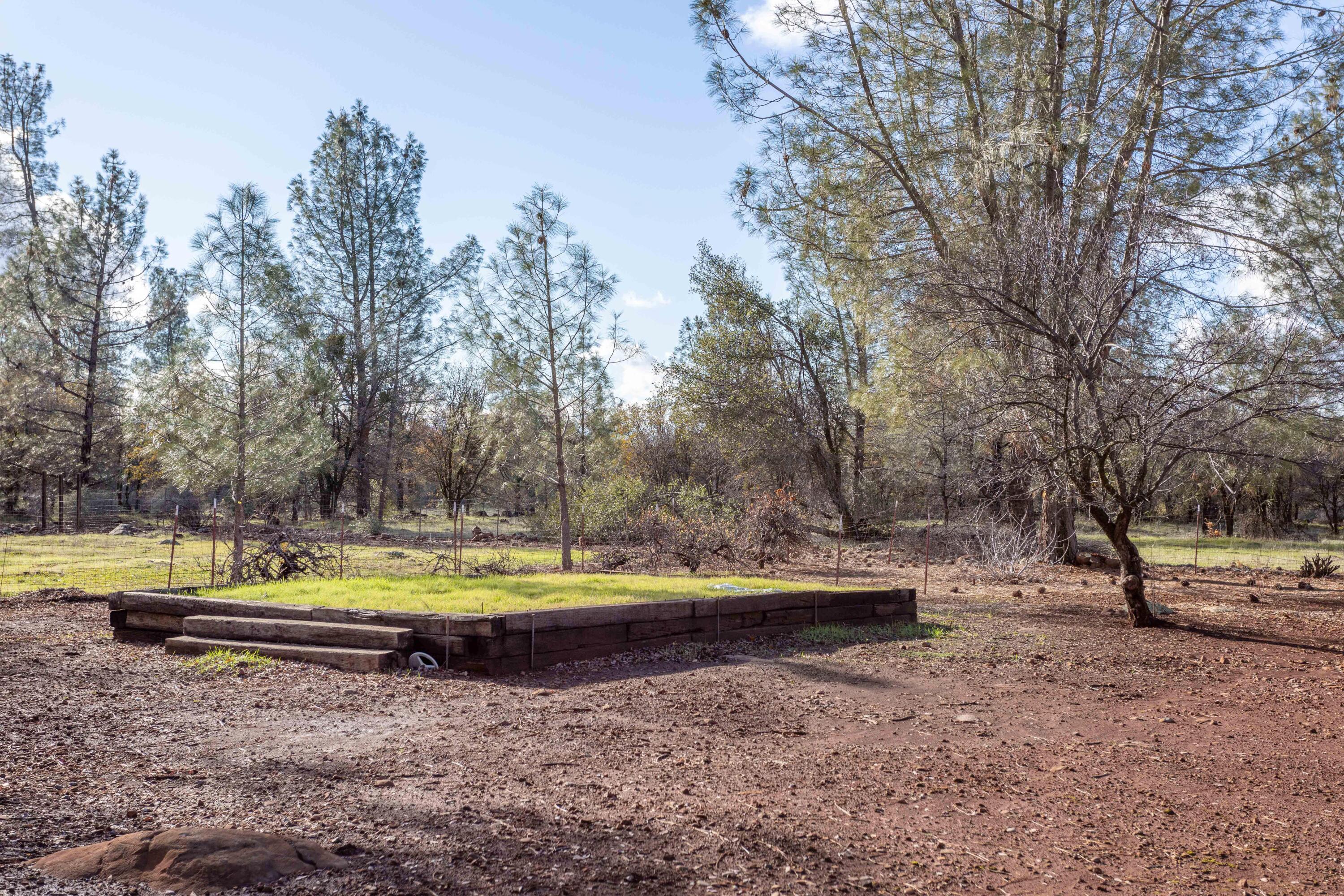26846 Aslan Road Shingletown, CA 96088 - Photo 24 of 49 254A2564
