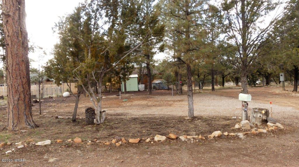 3386 Buckskin Road Overgaard, AZ 85933 - Photo 2 of 10