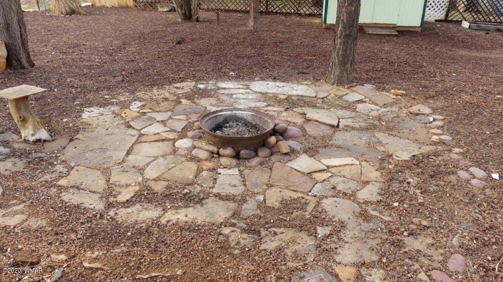 3386 Buckskin Road Overgaard, AZ 85933 - Photo 5 of 10