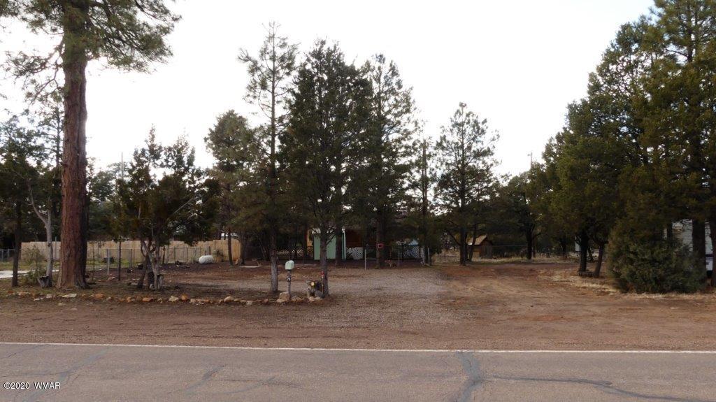 3386 Buckskin Road Overgaard, AZ 85933 - Photo 7 of 10