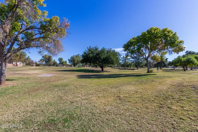a view of a yard with a house in the background