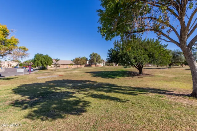 a view of a yard with mountain