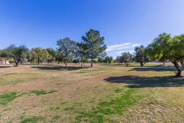 a view of a yard with palm tree