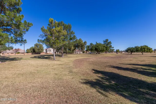 a view of swimming pool with tree s